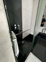 The Trizon (D10), Condominium #449763501